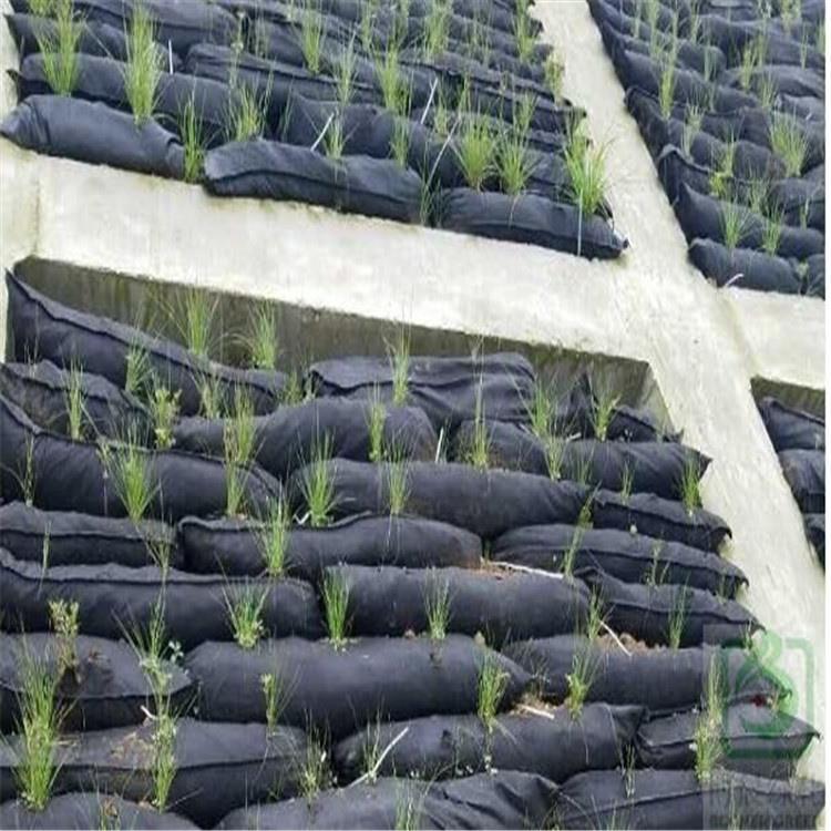 带草籽植生袋绿化生态袋高速公路矿山河道边坡绿化