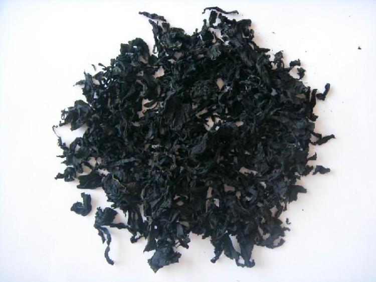 脱水裙带菜 海青菜 脱水蔬菜 厂家直销 琦轩食品