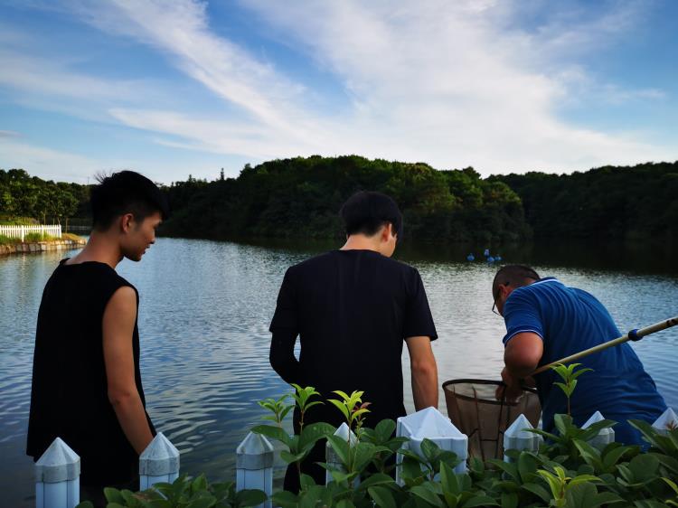 長沙有值的一日游的旅游景點采摘垂釣燒烤野炊