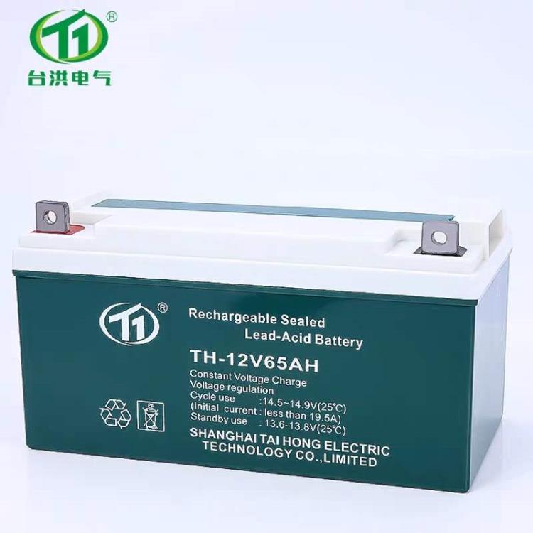 臺(tái)洪蓄電池TH-12V6H 儲(chǔ)能免維護(hù) UPS計(jì)算機(jī)應(yīng)急