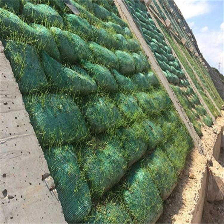带草籽植生袋绿化生态袋高速公路矿山河道边坡绿化