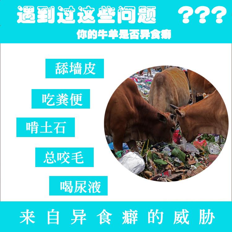 牛吃土咬毛异食癖