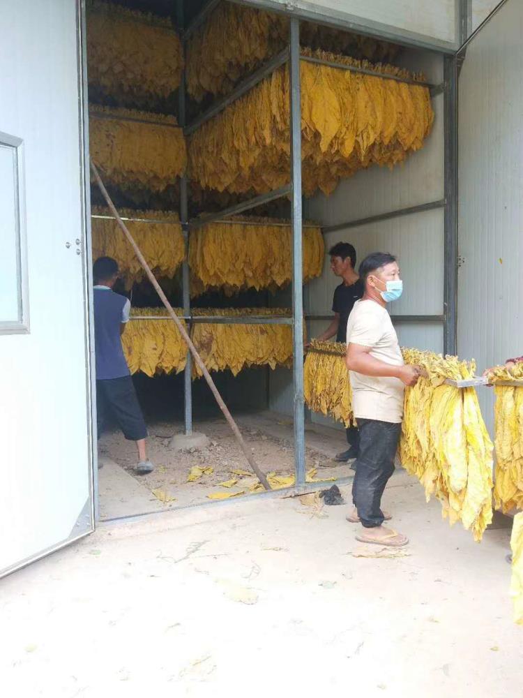 烤烟控制器云南密集烤房控制器三七正反转控制器智能烘干控制器