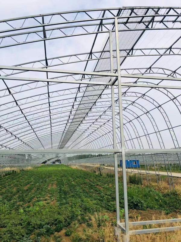 山西薄膜蔬菜棚双梁大棚骨架一亩地1万元