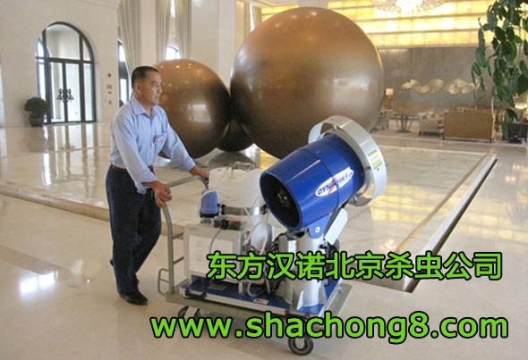 家里有蚂蚁灭蚂蚁公司东方汉诺教你3个灭蚂蚁办法