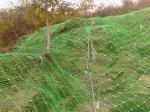 四川自貢景區安裝裹塑型-主動防護網-免費寄樣-耐腐蝕