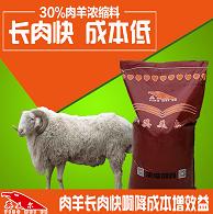黑山羊吃啥饲料-英美尔羊饲料配方