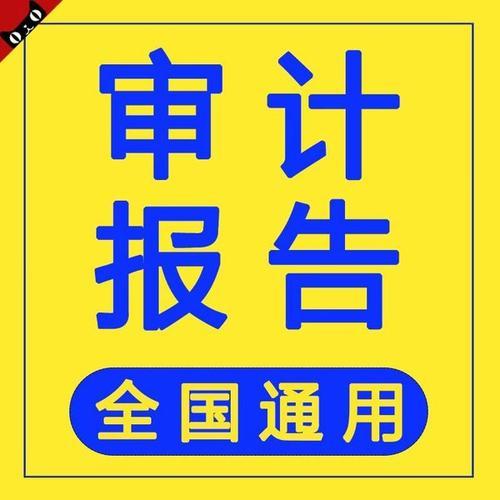 一手会计师事务所出具审计报告