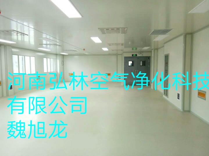 河南洛阳市口罩厂装修消毒液厂彩钢板隔断吊顶无尘车间净化施工