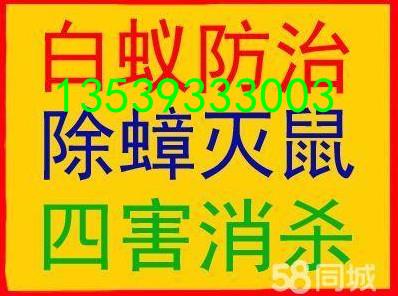 南海区罗村除四害灭白蚁除蟑螂杀臭虫灭跳蚤杀虫