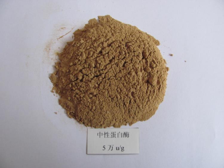 威海德科饲料纤维素酶水产专用复合酶鱼虾专用蛋白酶复合酶