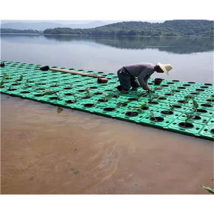 供應生態(tài)浮島處理污水 生態(tài)浮島凈化水體