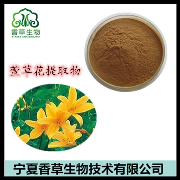 萱草花提取物出廠(chǎng)價(jià) 萱草花粉 濃縮粉 黃花菜浸膏供應(yīng)