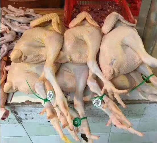 追溯类脚环家禽监管食品溯源系统二维码脚标环