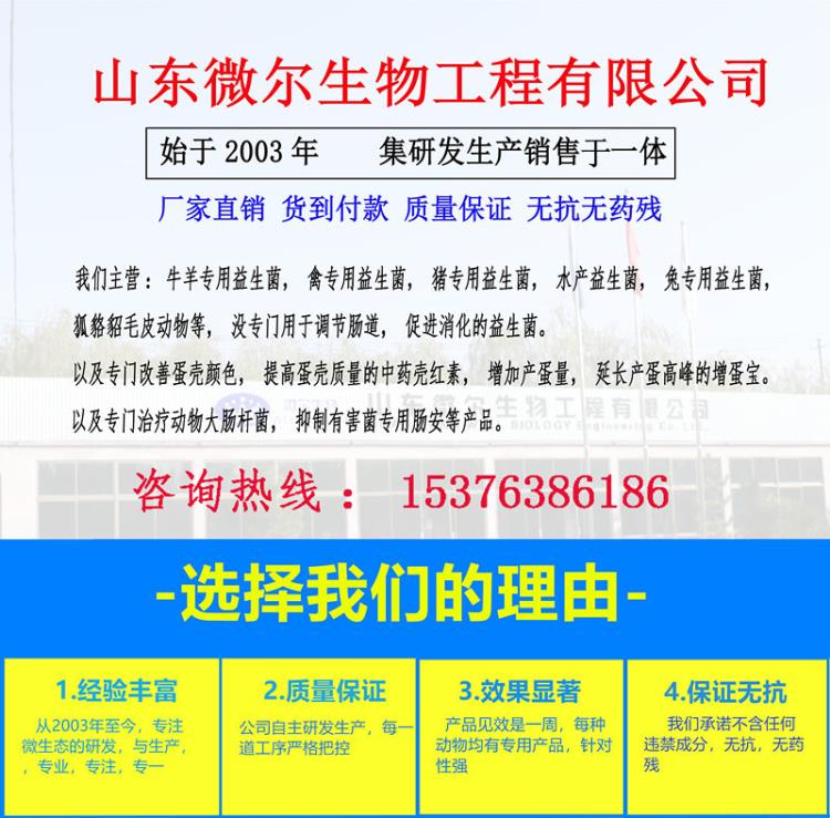山西太原解决猪拉饲料粪便猪耐高温益生菌厂家直供