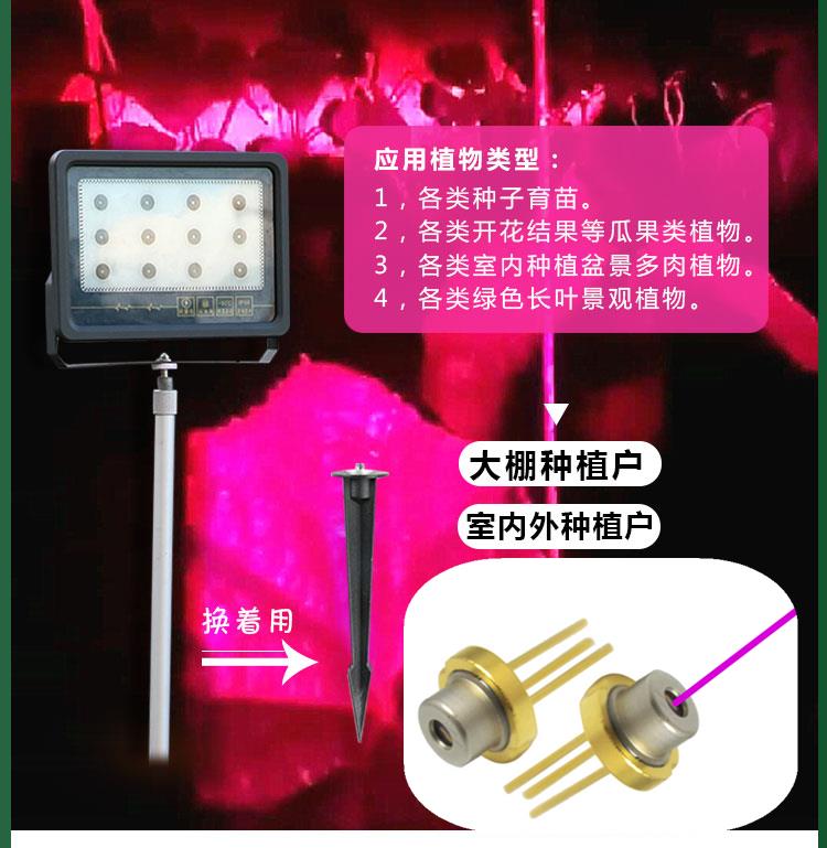 大棚激光補(bǔ)光燈草莓櫻桃蔬菜西瓜花卉光合光譜溫室植物生長燈