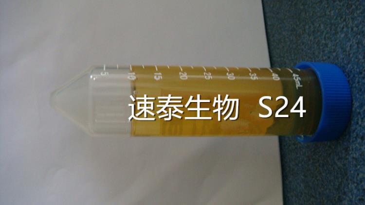 表面活性劑S5-S24全現(xiàn)貨秒發(fā)