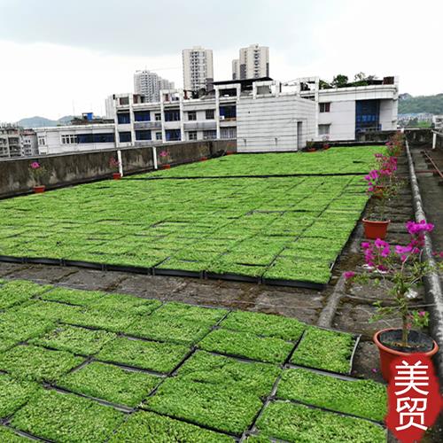 臺州美貿長槽PP花盆市政專用