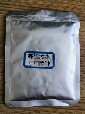 養(yǎng)殖污水專用菌種處理污水的過程