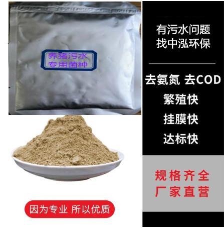 濰坊中泓環(huán)保廠家告訴您養(yǎng)豬場污水池發(fā)黑需要加的菌種