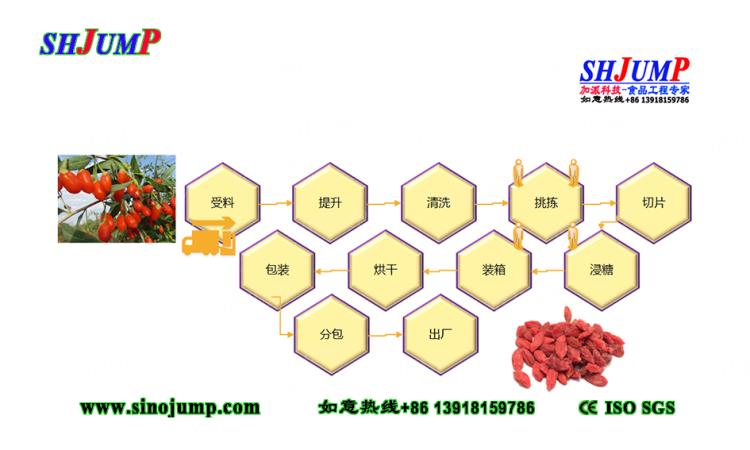 枸杞加工  枸杞加工生产线  枸杞加工设备