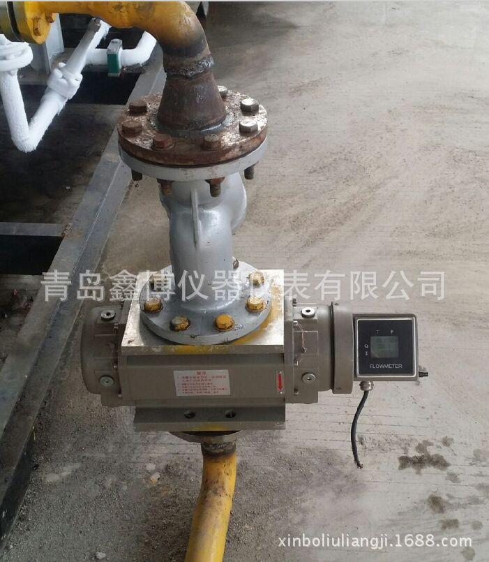 山東酒店天燃氣羅茨流量計