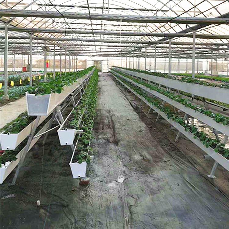 陜西立體種植槽草莓槽華耀基質栽培槽源頭廠家