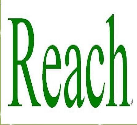 欧盟REACH内容