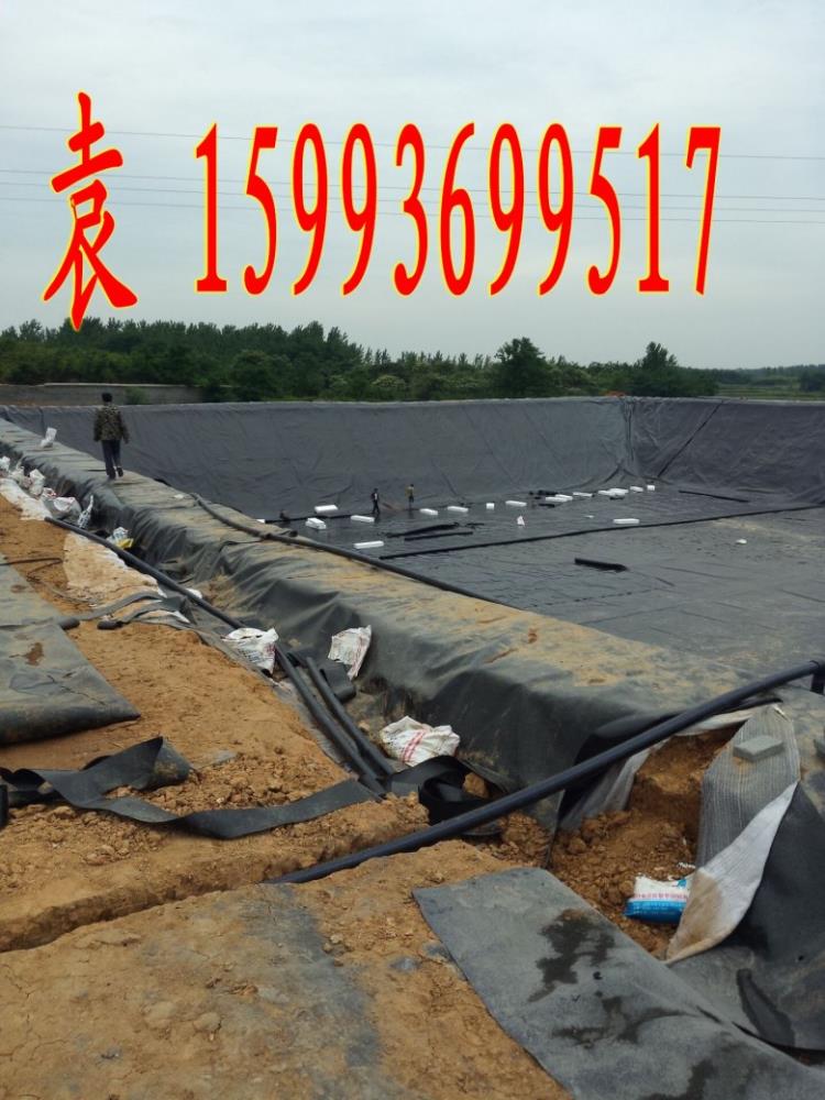 養豬場黑膜沼氣池污水池1.5厚塑料膜耐曬抗老化