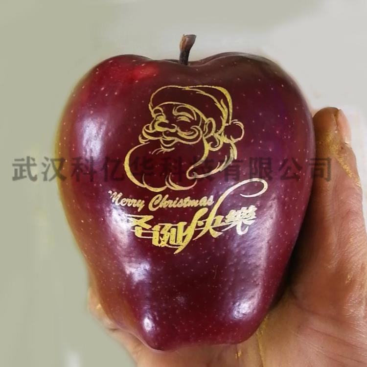 山东苹果油墨圣诞蛇果印字机优选科亿华食品油墨厂家