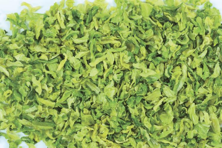 脱水高丽菜 包菜 绿色有机 实力厂家 脱水蔬菜 厂家 琦轩