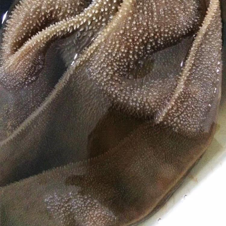 黑毛肚大片黃牛無底 牛百葉 四川火鍋食材