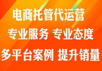 濮陽(yáng)懶人電商這個(gè)代運(yùn)營(yíng)好吧