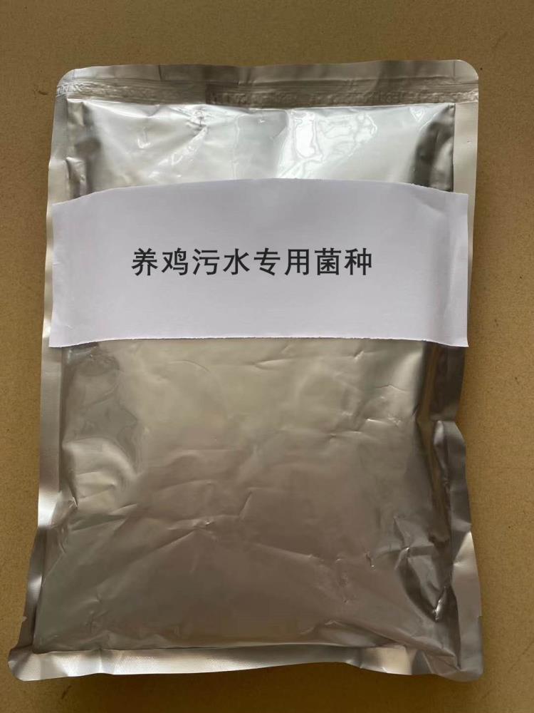 濰坊中泓環(huán)保養(yǎng)雞污水專用菌種的產(chǎn)品特點