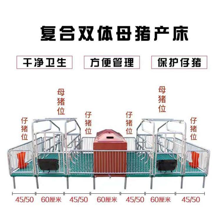 河北出售新款加厚雙體復(fù)合產(chǎn)床 雙體母豬產(chǎn)床