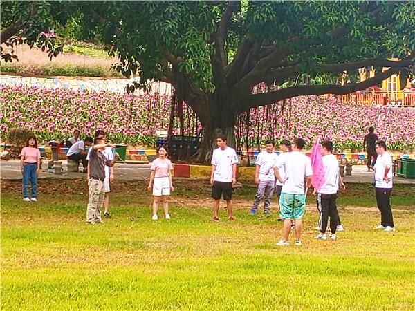 户外团建还能如此开心-东莞周边搞扩展就去松山湖花海团建基地