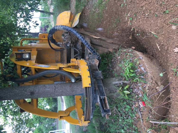 三普挖挖树机冻土挖树机器起树机器