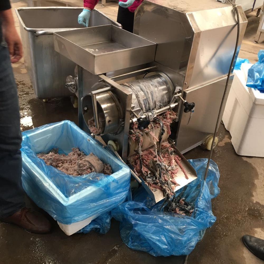 諸城小型魚肉脫刺取肉機 魚肉采肉設備