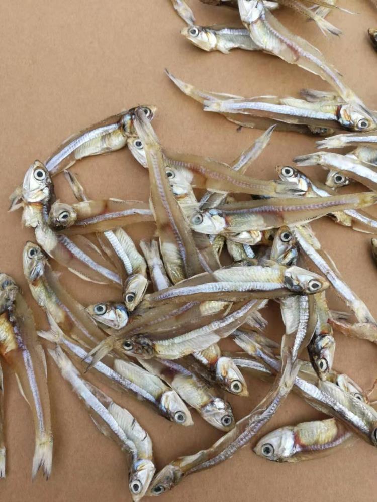 海燕鱼干货长期批发