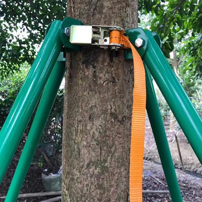 深圳市扶树架生产安装厂家