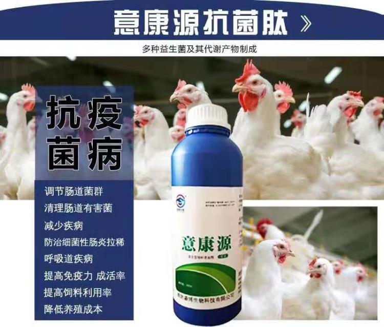 意康源肽降低肉雞料肉比提高免疫力防治飼料便水便促進消化