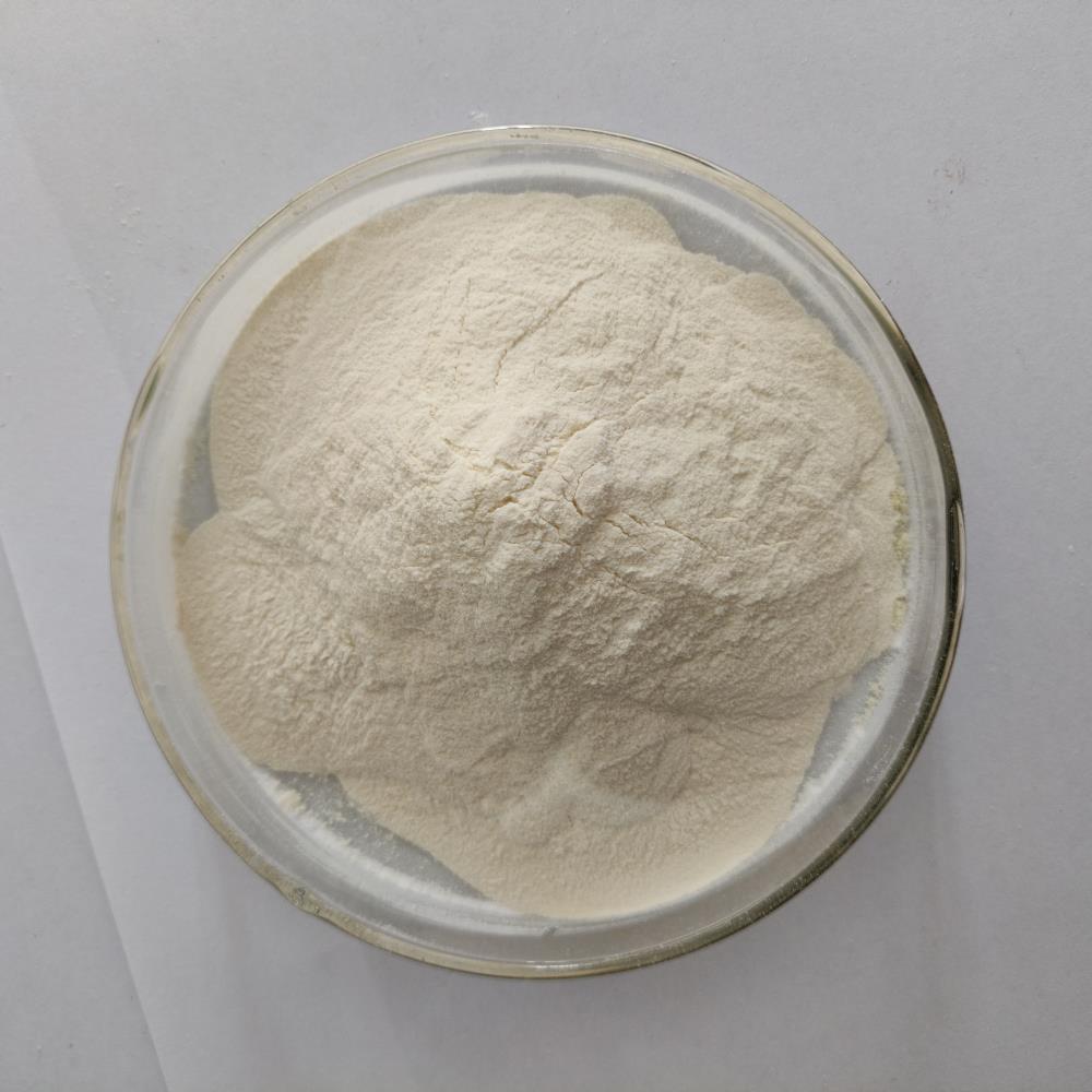 混凝土添加劑特型黃原膠廠家