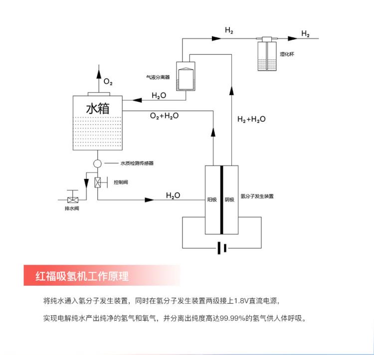 紅福電解富氫離子水機 吸氫機 富氫水機 SPE技術