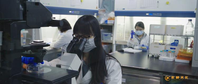 广州黄埔设备三维动画视频制作工业机械生产动画演示片