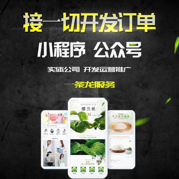 深圳小程序定制開發(fā)APP網(wǎng)站建站三合一建站技術讓您放心