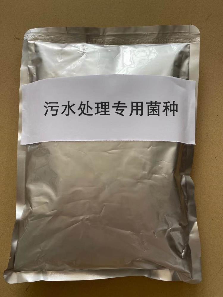 污水處理專用菌種的特點(diǎn)