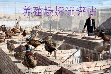 鄭州養雞場拆遷評估 奶牛場賠償評估 油漆廠賠償評估