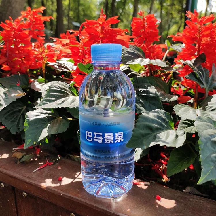 巴馬水天然活性水巴馬景泉圓瓶360ml*24瓶