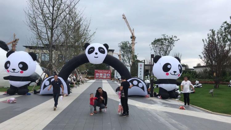 大型游乐设施熊猫岛鲸鱼岛设施出售