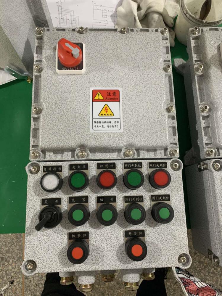 防爆防腐电机保护箱